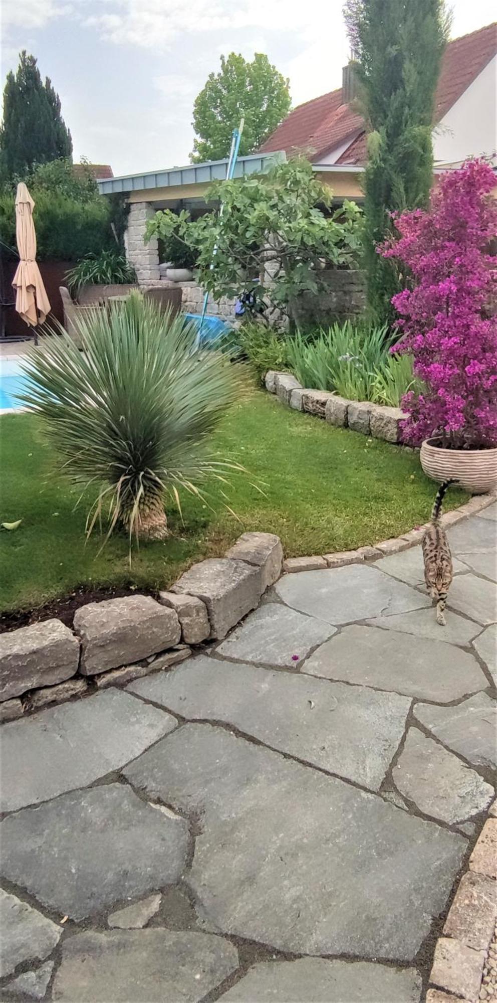 شقة Bel Giardino FDH المظهر الخارجي الصورة